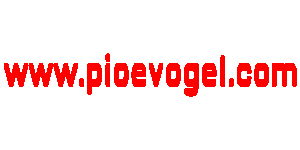 Het is vandaag Wereldfetishdag