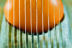 Het is vandaag Wereldeiersnijderdag