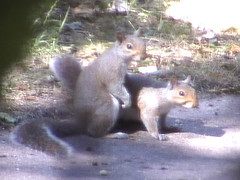Het is vandaag Wereldpornodag